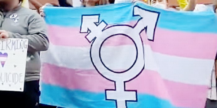 Fairfax County Va. Redesignates Easter as ‘Transgender Visibility Day’