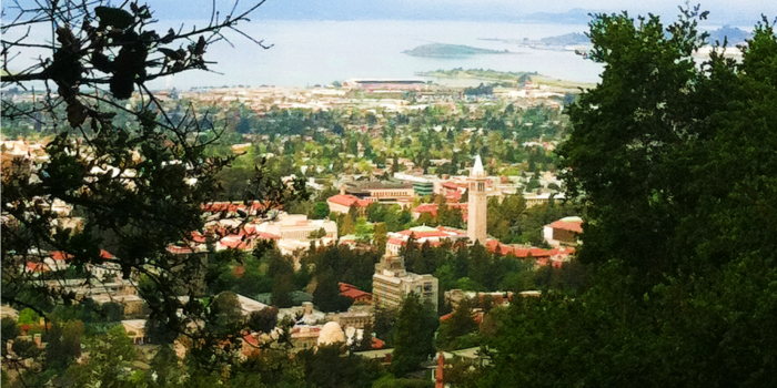 UC Berkeley Allegedly Banned White People from Community Farm