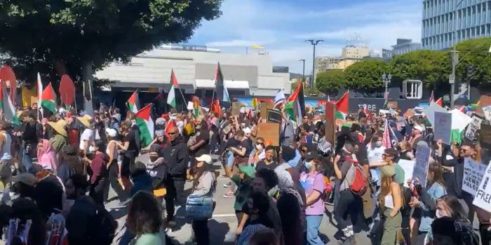 House Intel Dem. Defends Plan to Accept Gazan Refugees