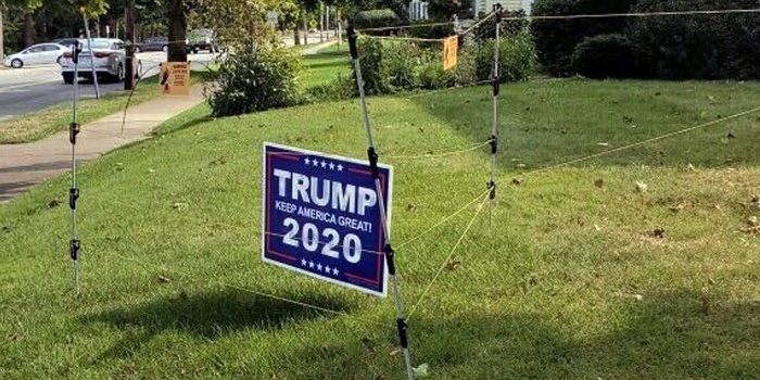 80-Yr-Old Man Brutally Run Over While Placing Trump Signs in Michigan