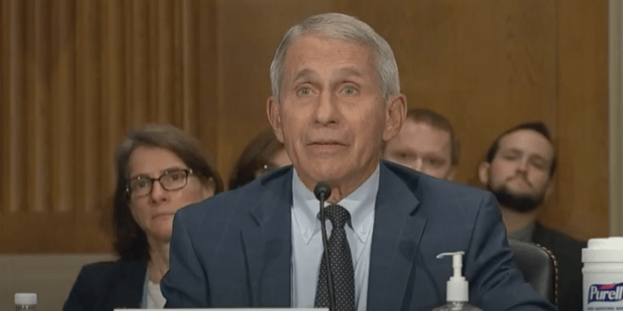 Fauci Reveals Third COVID Infection, Despite Six Vaccines/Boosters
