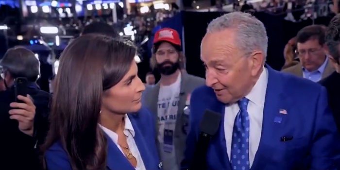 Matt Walsh Trolls DNC Dressed as ‘White Dude for Harris’ to Promote ‘Racist’ Film